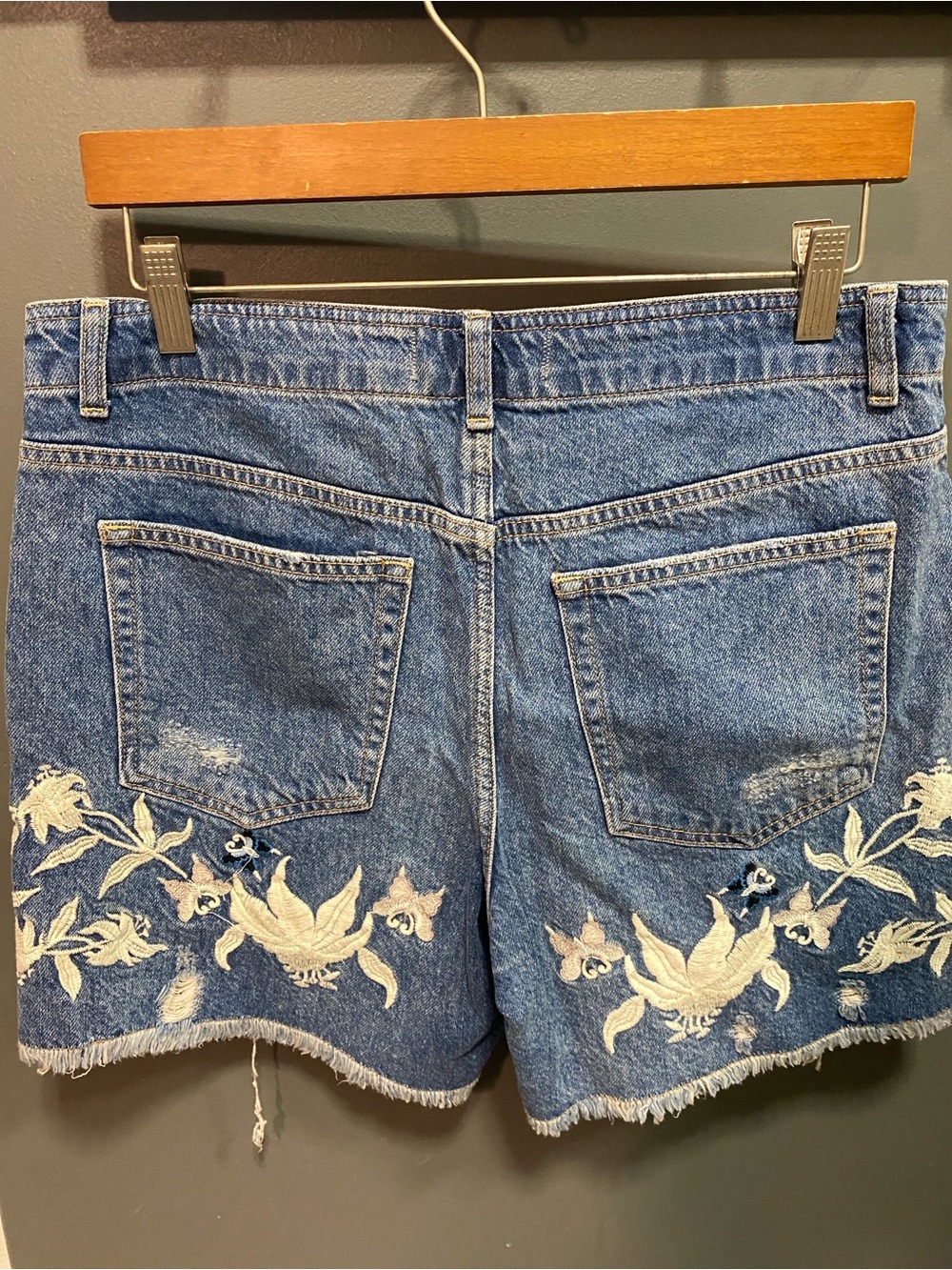 Women’s Blue Denim Embroidered Shorts